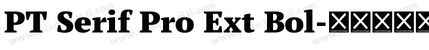 PT Serif Pro Ext Bol字体转换